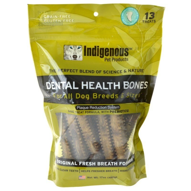 Indigenous Dental Health Bones Indigenous Dental Health Bones